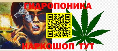 ECSTASY Пенза