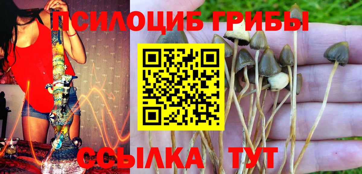 Галлюциногенные грибы MAGIC MUSHROOMS  Вход с VPN  Сибай 