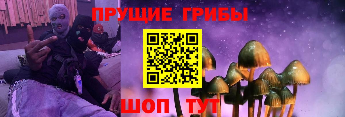 Псилоцибиновые грибы MAGIC MUSHROOMS Сибай